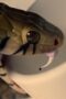 aZgOFAp09oLD7sh1QaK4bUEUG0M